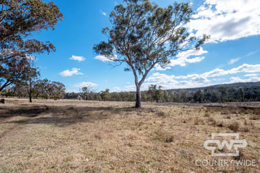 29, 41 Gilligans Lane Torrington NSW 2371 - Image 2