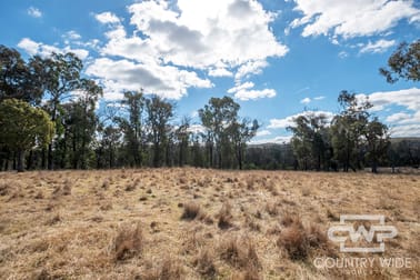 29, 41 Gilligans Lane Torrington NSW 2371 - Image 3