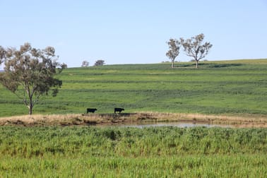 329 Pickfords Road Yetman NSW 2410 - Image 1