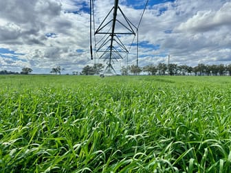 665 Airport Road Three Moon QLD 4630 - Image 1