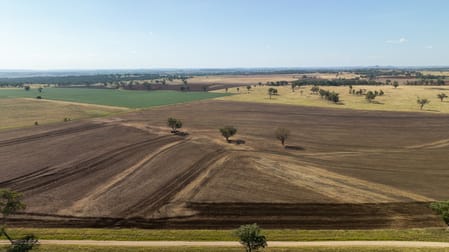 'Swinton' 661 Haywood Road Delungra NSW 2403 - Image 3