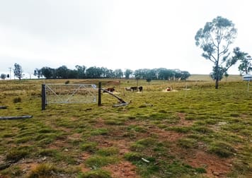 22 Cainbill Road Coolah NSW 2843 - Image 2