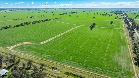 119 Oak Lodge Rd Sanger NSW 2646 - Image 2