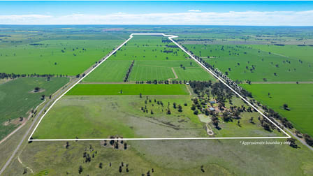 119 Oak Lodge Rd Sanger NSW 2646 - Image 2