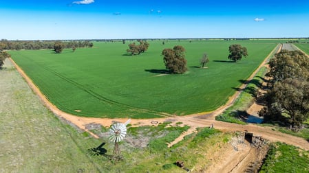 119 Oak Lodge Rd Sanger NSW 2646 - Image 3