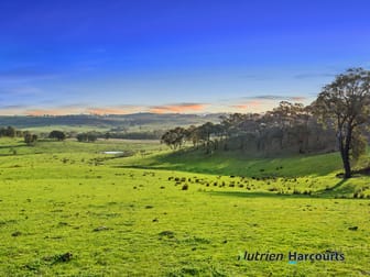 250 Daisyburn Road Hilldene VIC 3660 - Image 3