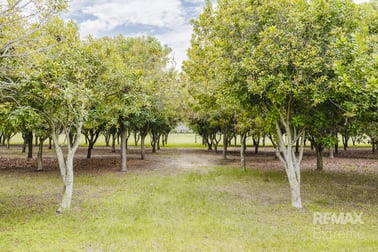 77 Feldts Road Martin WA 6110 - Image 3