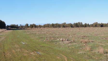 225 Coles-Killanoola Road Coles SA 5272 - Image 3