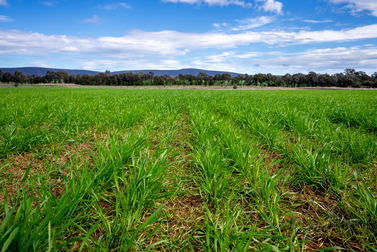 151 Barrs Road Cowra NSW 2794 - Image 3