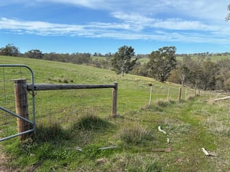 240 Harrow-Clear Lake Road Harrow VIC 3317 - Image 2