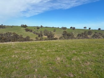 240 Harrow-Clear Lake Road Harrow VIC 3317 - Image 3