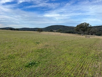 989 South Valley Road Rocky Creek NSW 2371 - Image 2