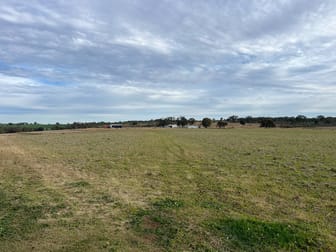 989 South Valley Road Rocky Creek NSW 2371 - Image 3