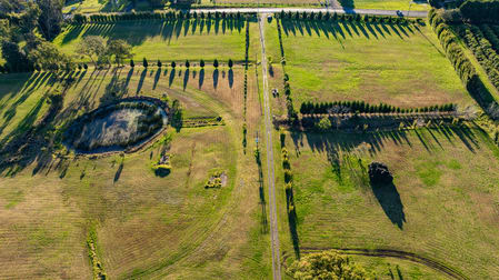 2583 Wisemans Ferry Road Mangrove Mountain NSW 2250 - Image 3