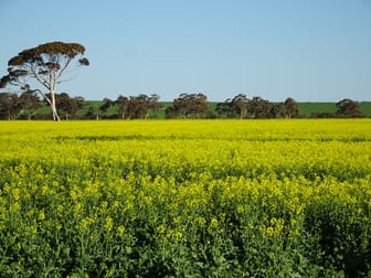 1103 Bullaring - Gorge Rock Road Bullaring WA 6373 - Image 1