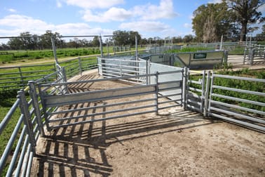 202 Malones Road Naracoorte SA 5271 - Image 2