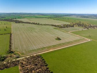 166 Mathews Road Downside NSW 2650 - Image 1