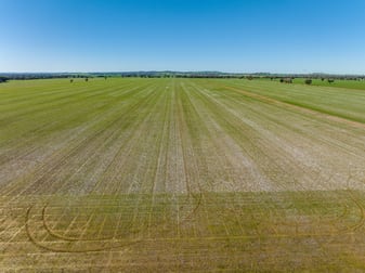 166 Mathews Road Downside NSW 2650 - Image 3