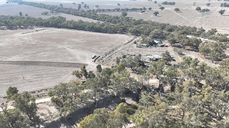 1971 Stewarts Bridge Road, Lower Moira via Echuca Barmah VIC 3639 - Image 3