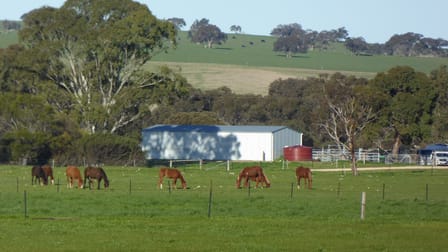 3467 Riddoch Highway Willalooka SA 5267 - Image 3