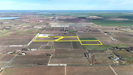 419 North South Road Woorinen North VIC 3589 - Image 2
