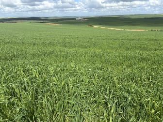 800 East Bowes Road Naraling WA 6532 - Image 1