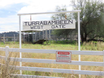 Click to view all images "Turrabambeen" Crow Mountain Manilla NSW 2346 - Image 1