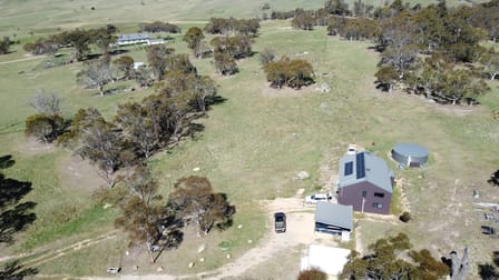 3150 Jerangle Road Jerangle NSW 2630 - Image 3