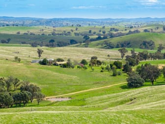 'Cronga Peak' 157 Cronga Peak Road Molong NSW 2866 - Image 2