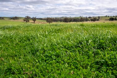 'Cronga Peak' 157 Cronga Peak Road Molong NSW 2866 - Image 3