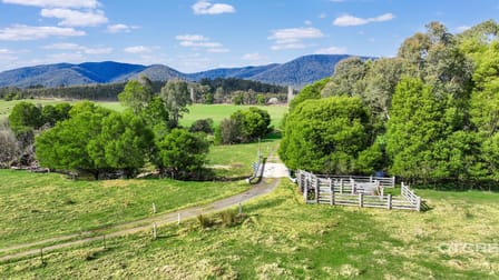 3153 Combienbar Road Combienbar VIC 3889 - Image 2