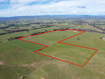 659 Wangaratta-Eldorado Road Londrigan VIC 3678 - Image 2