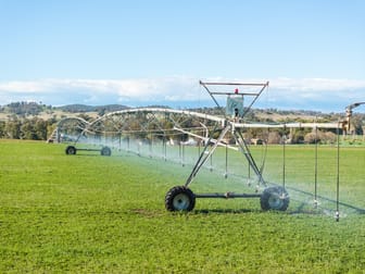 164 Settlement Bridge Road Canowindra NSW 2804 - Image 1
