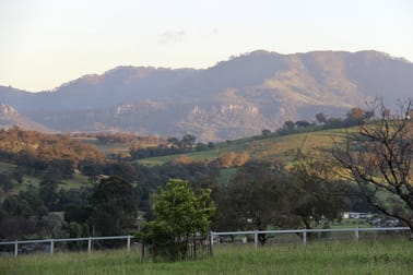 12 Lorraine Street Wingen NSW 2337 - Image 3