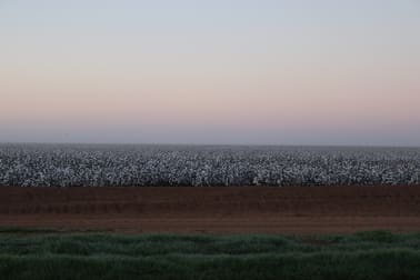 10755 Sturt Highway Euroley NSW 2700 - Image 1