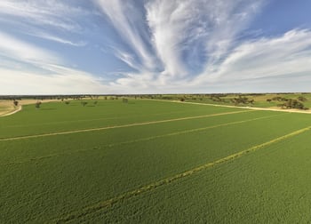13488 Dukes Highway Keith SA 5267 - Image 1