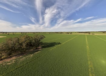 13488 Dukes Highway Keith SA 5267 - Image 2