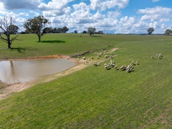 1185 Golspie Road Golspie NSW 2580 - Image 3