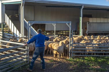 Ashford Heath 47 Adios Lane Bogan Gate NSW 2876 - Image 3