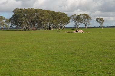 1805 Manga Road Kalangadoo SA 5278 - Image 3