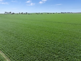 'Toringa' Toringa Road Farrell Flat SA 5416 - Image 2