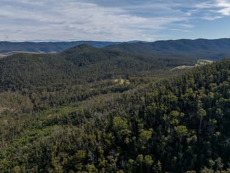 3954 Tulloch Ard Road Buchan VIC 3885 - Image 2