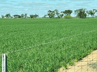 Massey-Bangerang Road Watchem West VIC 3482 - Image 2