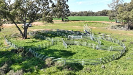 "Randleigh" Stud Park Road Deniliquin NSW 2710 - Image 3