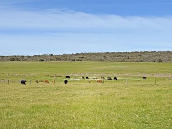 Lt 1 & 3 Paterson Road Monjingup WA 6450 - Image 1