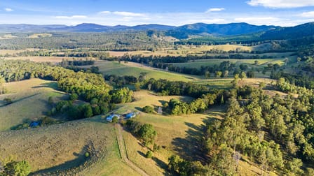 141 Sterling Rd Kandanga Creek QLD 4570 - Image 3