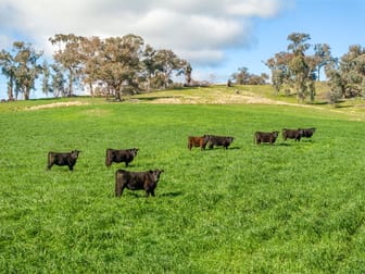 170 Wilds Road Tarcutta NSW 2652 - Image 1