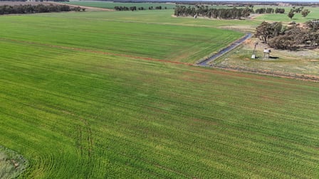 Farm 25/1354 Main Canal Road Coleambally NSW 2707 - Image 1