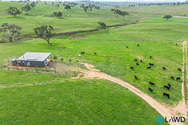 14 Euralie Road Yass NSW 2582 - Image 3