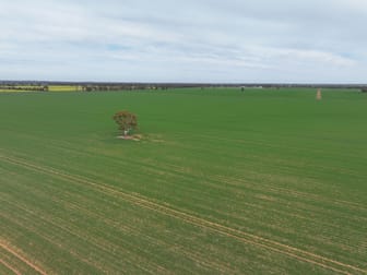 'SECKHOLDS' Bradshaws Lane Coolamon NSW 2701 - Image 1